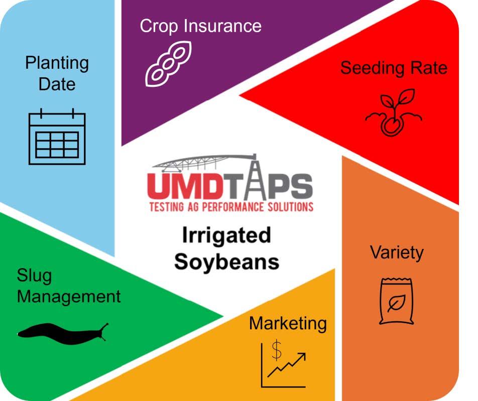 Infographic for Irrigated Soybeans