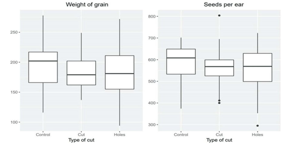 Cover Crops Grain Wt chart