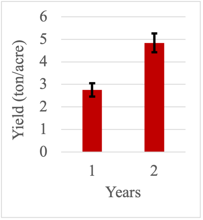 A bar graph on the average giant miscanthus yield (+/- standard error) from 20 one-meter square quadrats within experimental field after first and second years of growth.