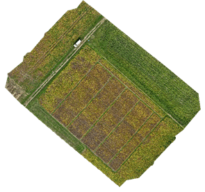 Aerial image of plots 