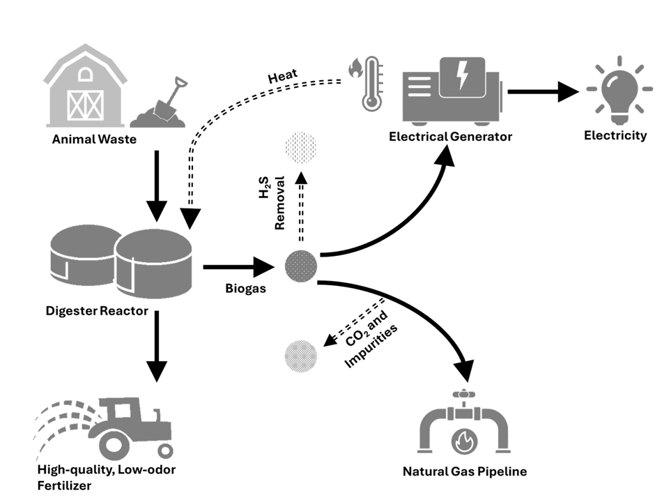 anaerobic digestions overview diagram