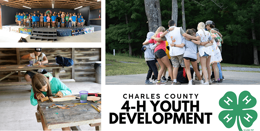 Photos of 4-H Activities