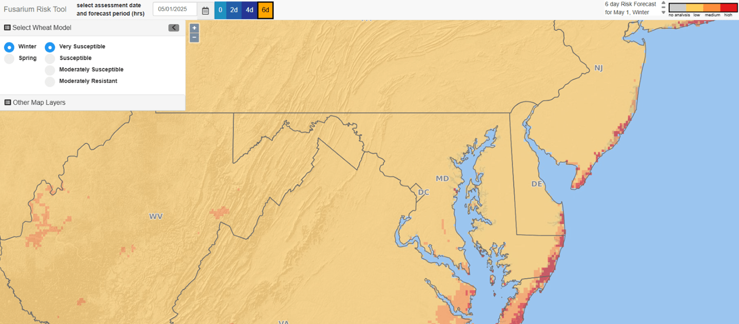 A map showing the current risk of fusarium head blight across the region.