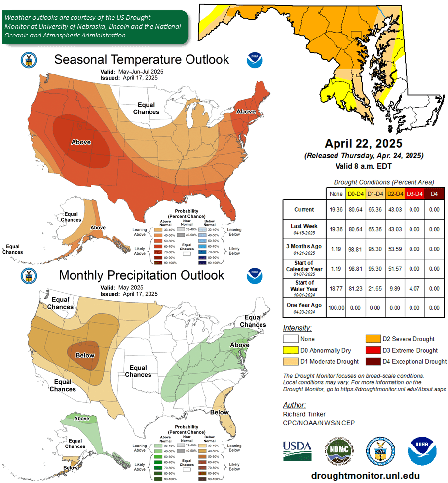 Graphs forecasting the weather for the month of May 2025