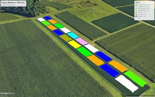 FIg 1 - Three different and no irrigation scenarios pic