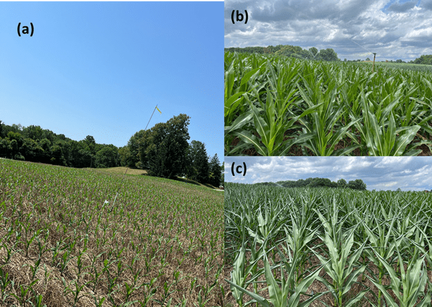 Fig 2 shows field w sensor, irrigated and non irrigated fields