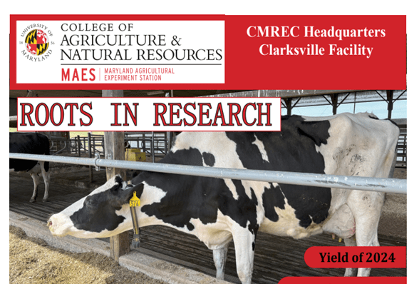 Cows on Clarksville Cover page