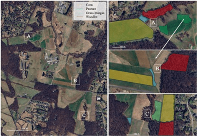 Distribution of sampling at Clarksville