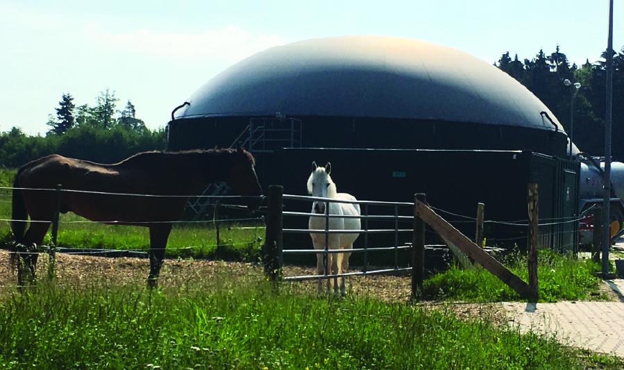 Anaerobic digester in paddock with two horses. 