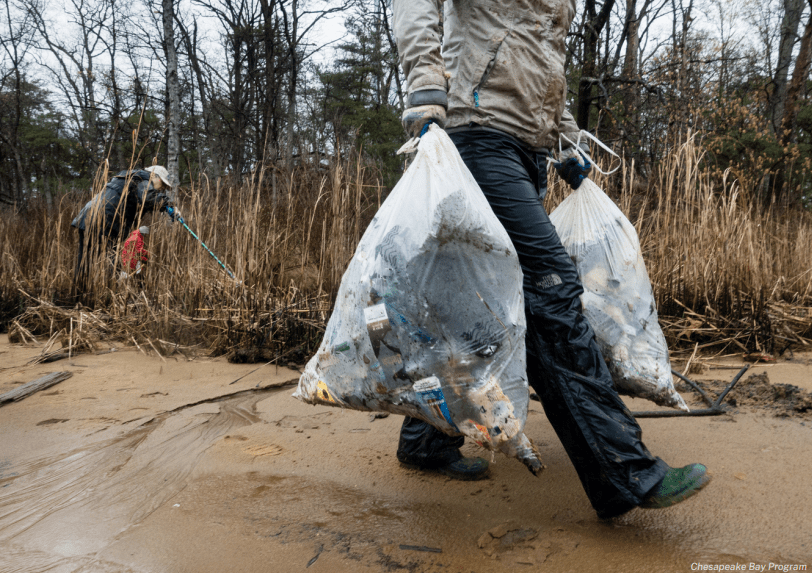 Litter/Dumpsite Cleanup