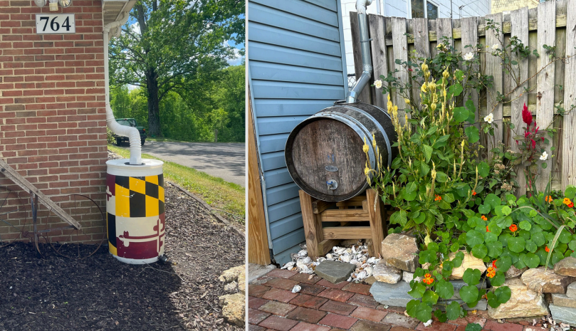 Rain Barrels and Cisterns