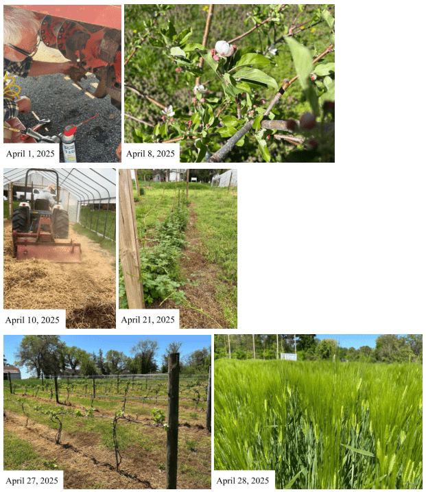 Month of April 2025 AAUFRC