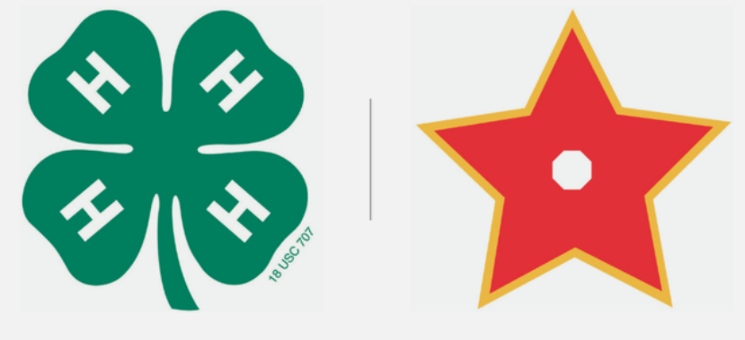4-H All Stars
