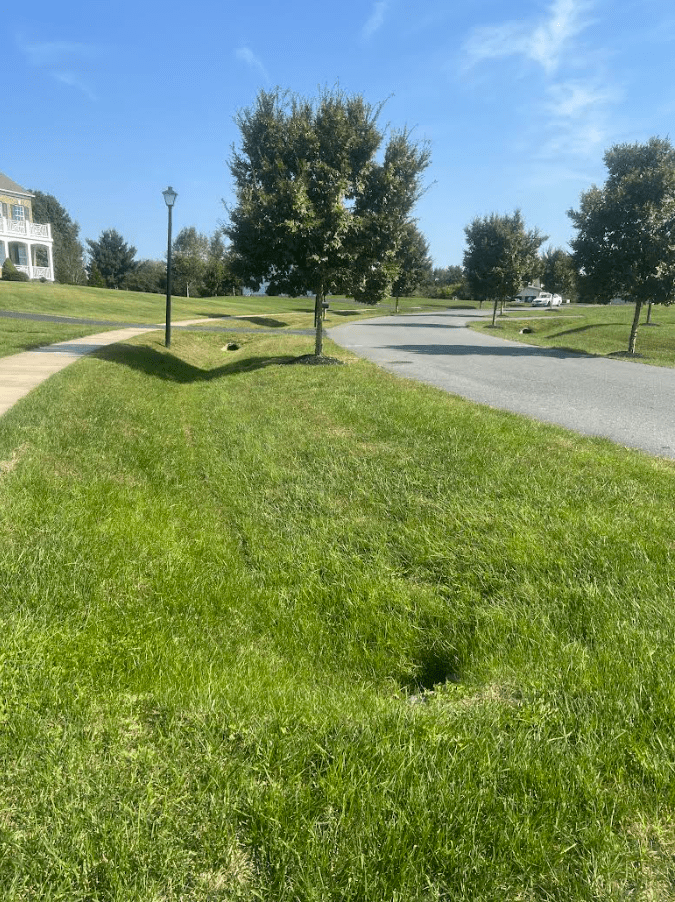 Lawn Depression/Infiltration