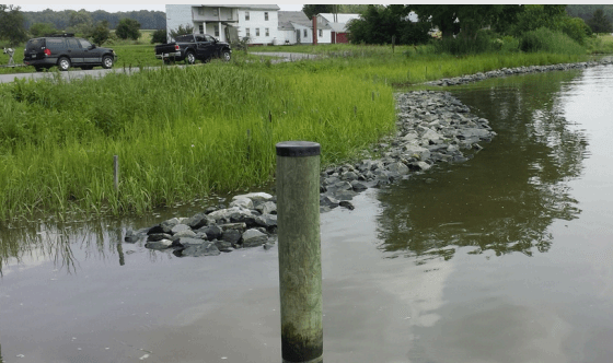 Shoreline Management