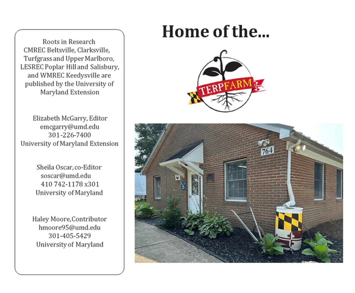 Picture of the office at UMF and editors page