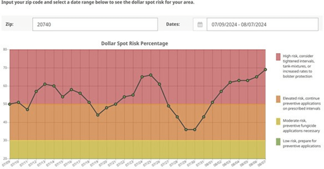 Fig One dollar spot