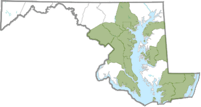 Reported 2025 distribution of Chinese Wisteria in Maryland. Courtesy Maryland Biodiversity Project.