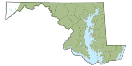 Reported Johnsongrass distribution in Maryland, 2025. Map by Maryland Biodiversity Project