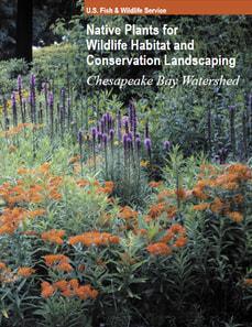 USFS Native Plants for Wildlife Habitat and Conservation Landscaping