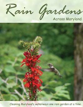 Rain Gardens Across Maryland