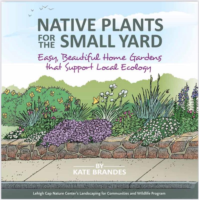 Native Plants for the Small Yard