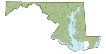 Lesser celandine Maryland distribution, 2025. Map by Maryland Biodiversity Project.
