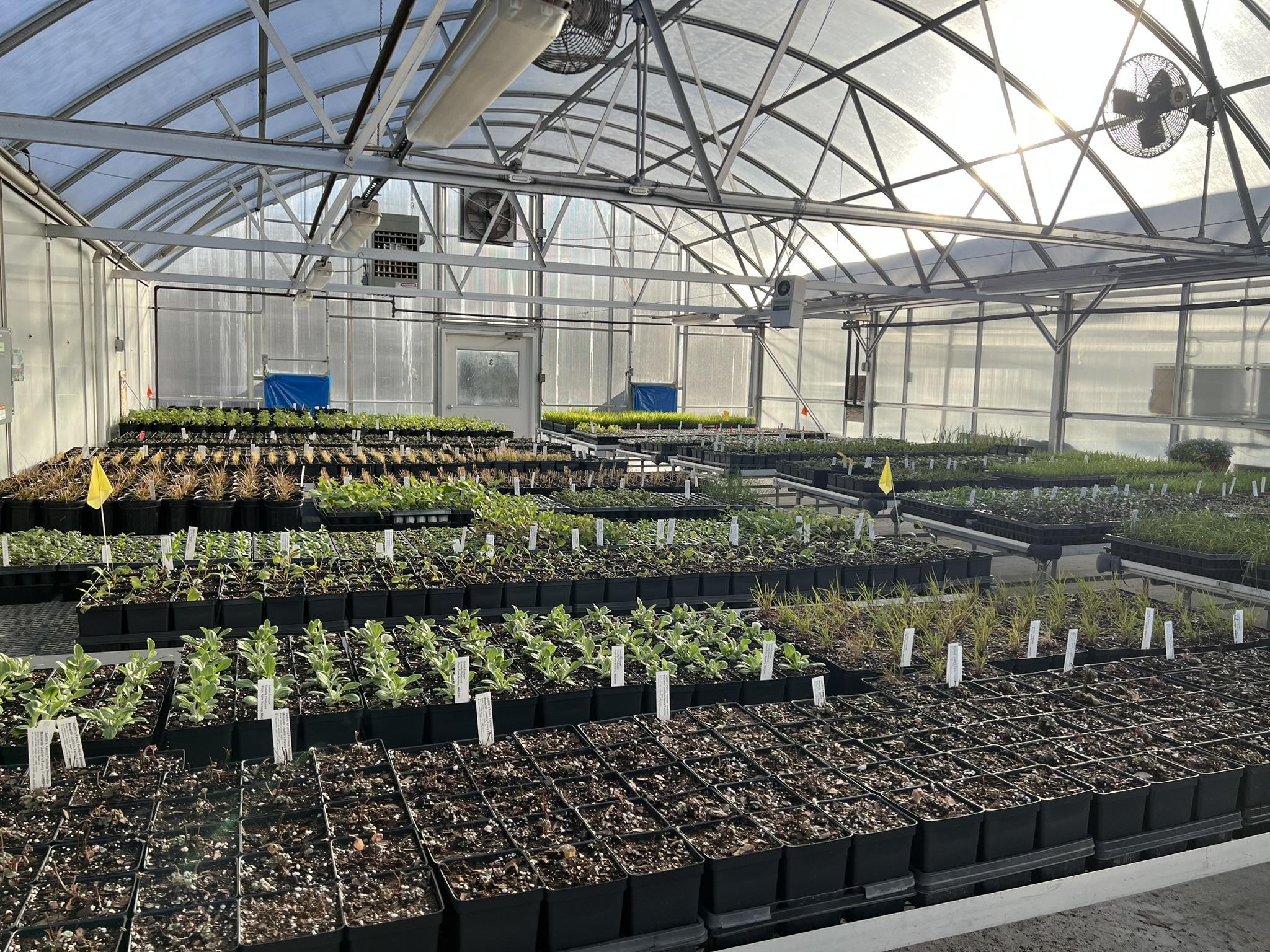 Pope Farm Greenhouse