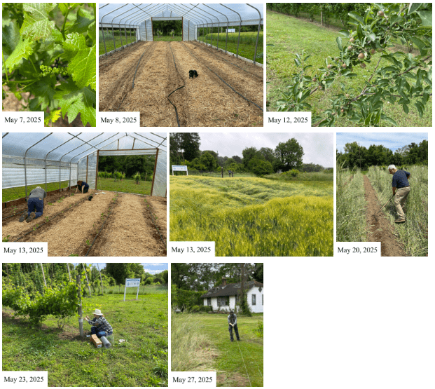 Month of May 2025 AAUFRC