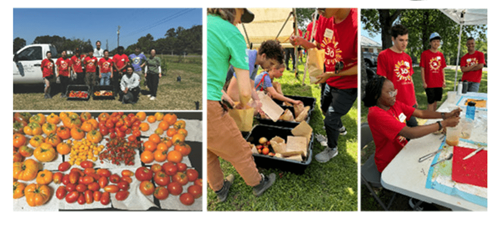 Students working the TomatoLab in UMF
