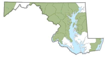 Wavyleaf basketgrass distribution in Maryland, 2025. Map from Maryland Biodiversity Project.