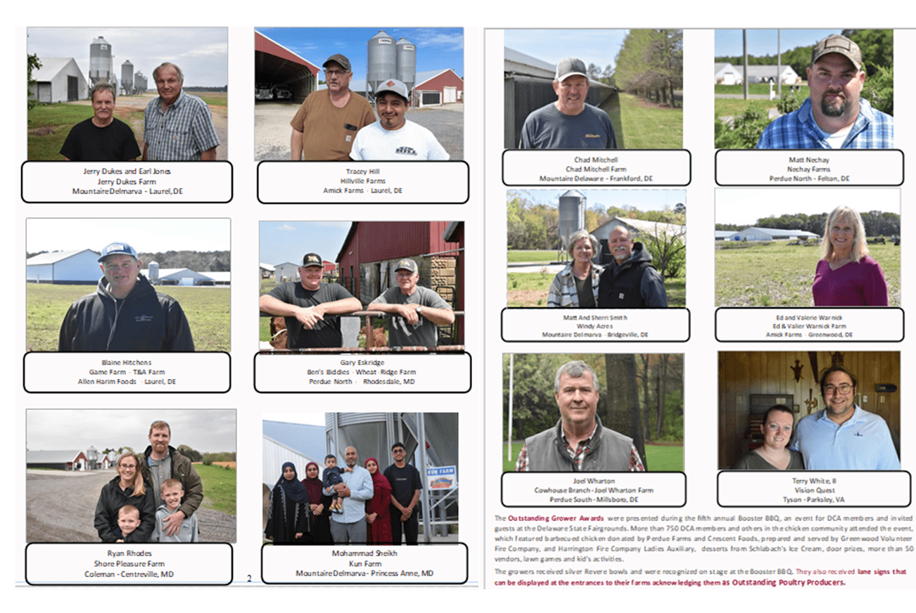 Pictures of Outstanding Growers