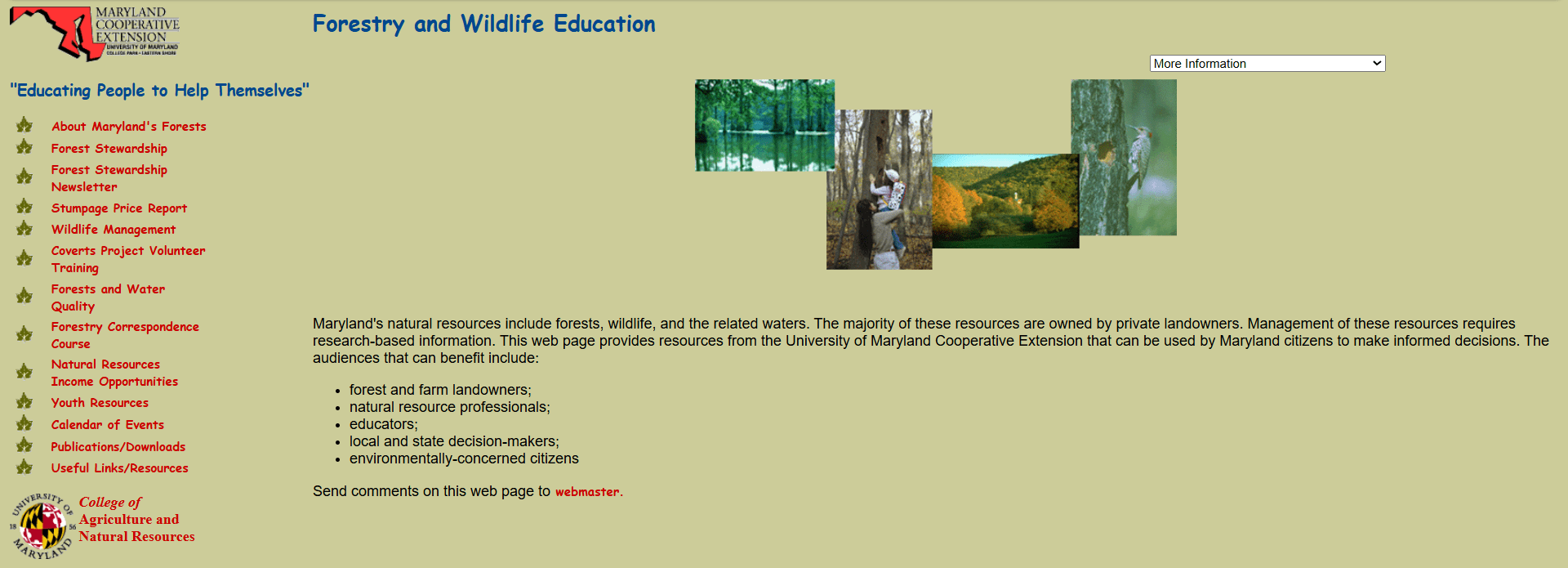 Scrrenshot of first WSE website