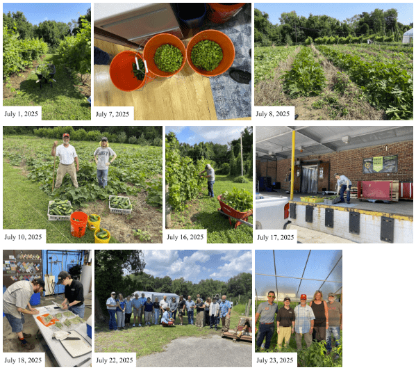 Month of July 2025 Photos