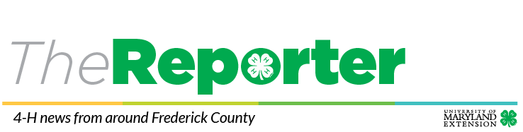 The Reporter Newsletter header