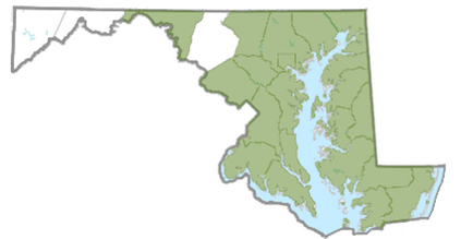 Paper mulberry distribution in Maryland,  from Maryland Biodiversity Project.