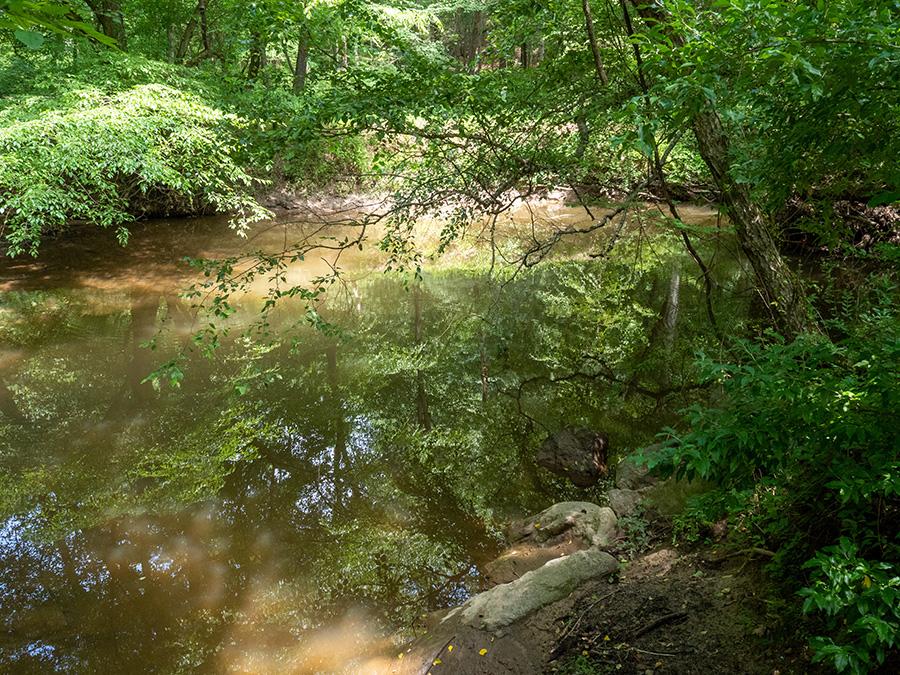 “Quarantine Hike Through Maryland Park along Northwest Branch Anacostia River” Photo by Admiralnemo/Adobe Stock