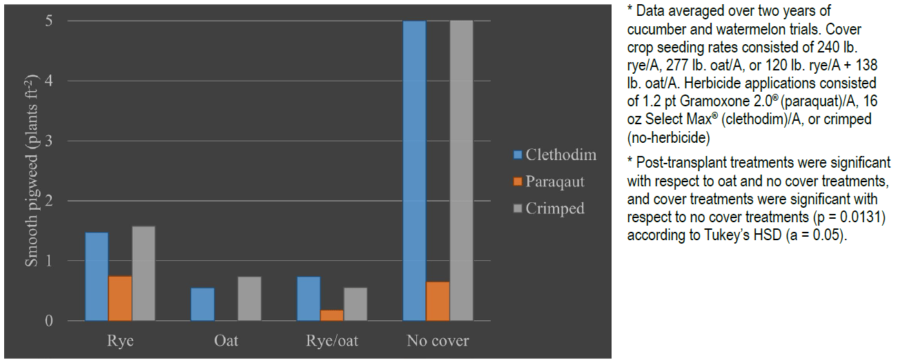  A bar chart showing smooth pigweed density for Rye, Oat, Rye/Oat, and No cover, with Clethodim, Paraquat, and Crimped treatments. No cover shows the highest pigweed counts.
