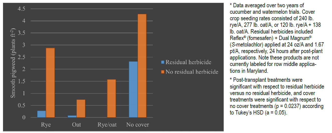A bar graph showing the impact of residual herbicide on smooth pigweed density (plants/ft²) across four different cover crop treatments: Rye, Oat, Rye/Oat mix, and No Cover.  Blue bars indicate herbicide use, orange bars indicate no herbicide.  Pigweed density is lowest with herbicide use in all treatments, highest in the "no cover" treatment without herbicide.