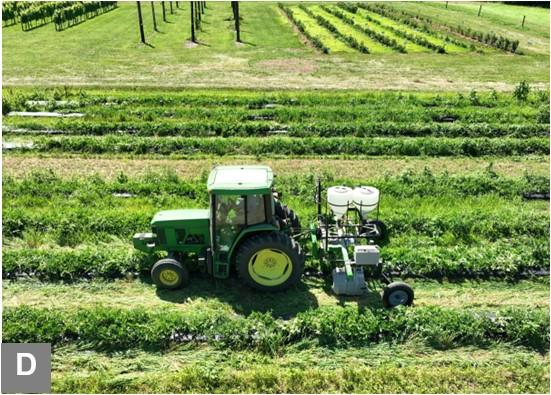 An aerial view of a green tractor equipped with spraying tanks and a planter navigating through cultivated rows of a farm, rows of blueberry bushes and a vineyard are visible in the background.