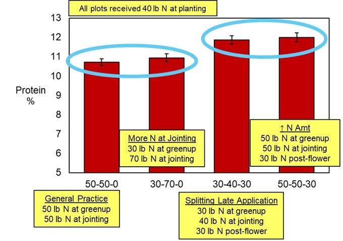 A bar graphon the average grain protein across four nitrogen (N) fertilization strategies and three years and two locations in Maryland. Dividing the same amount of N into three applications versus two successfully increased grain protein. When three applications were made and more N was applied, there was no additional increase in grain protein.