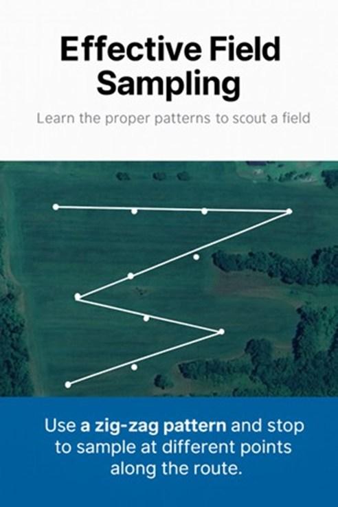 A diagram showing the effective field sampling