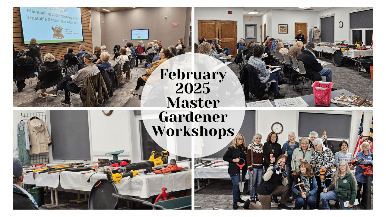 Cecil County MG Workshops Photo collage 2025