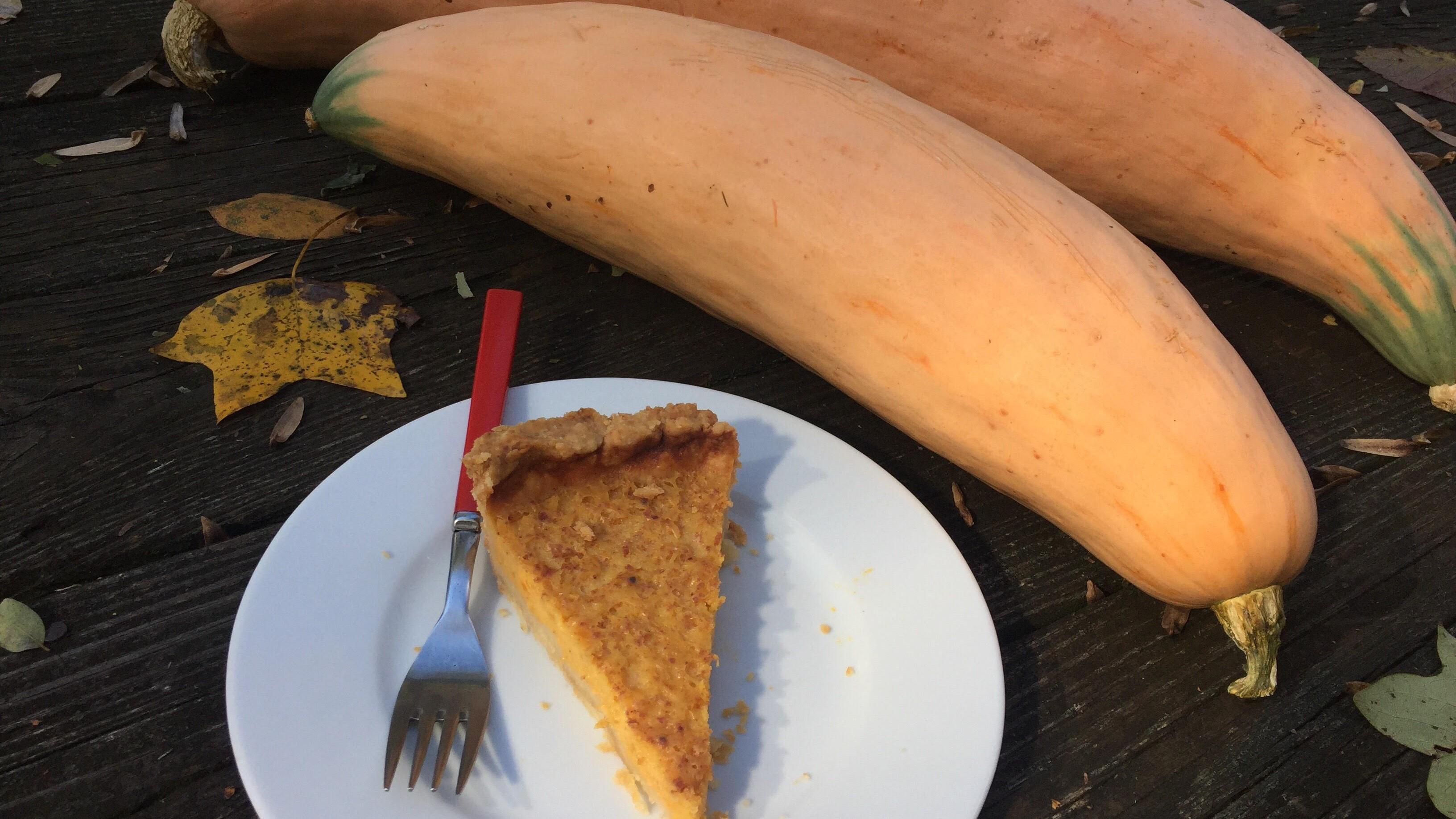 Harvested winter squash laying next to a plate of squash pie.