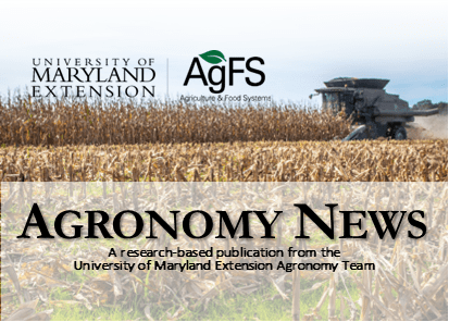A green combine harvesting corn in a field. 