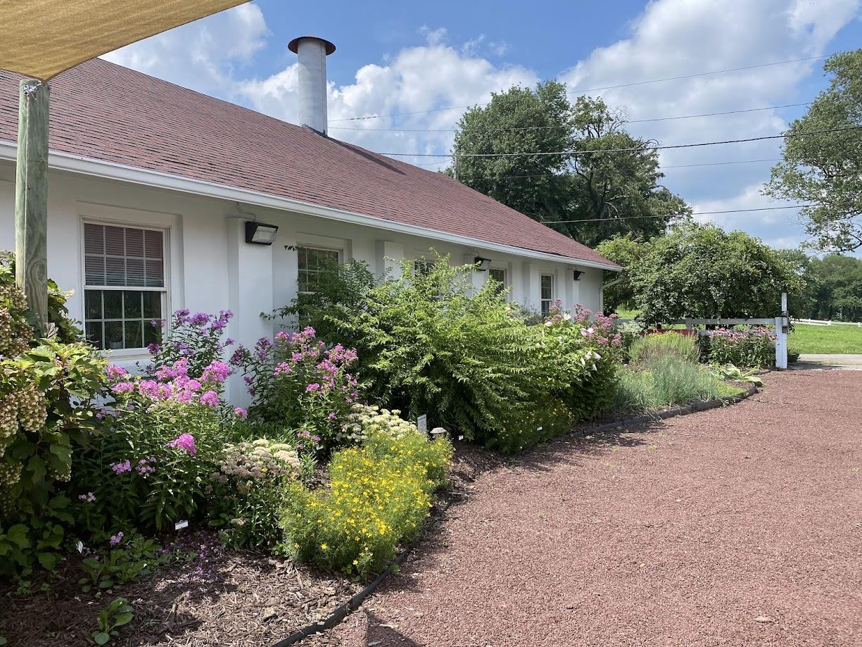 Anne Arundel County Extension Office MG Native Garden