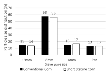 Bar chart comparing particle size distribution of Conventional and Short Stature Corn across four sieve pore sizes.