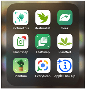 Nine plant identification app icons displayed in a 3x3 grid on a smartphone screen. Each icon features plant-themed graphics with varying colors.