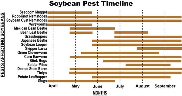 The "Soybean Pest Timeline" is a horizontal bar chart that displays the activity periods of various pests affecting soybeans from April to September. The vertical axis lists pests like Seedcorn Maggot, Root-Knot Nematodes, Mexican Bean Beetle, and others, while the horizontal axis shows the months. This chart helps in planning pest management strategies by visualizing activity periods.
