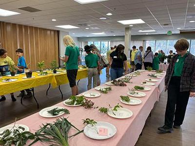 People are examining various plant specimens displayed on tables in a well-lit room. 